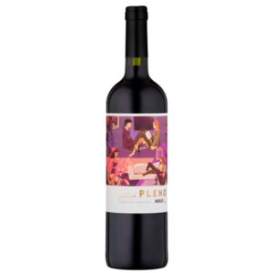 Vinho Marzarotto Pleno Merlot 750ml