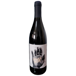 Vinho Terrazzo Manfroi Pinot Noir 750ml